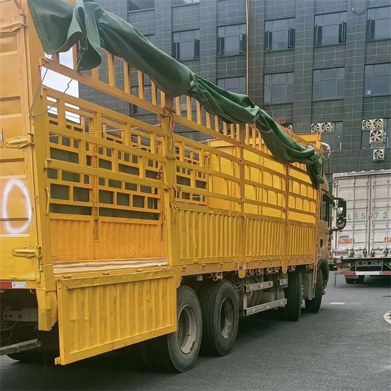 黑龙江齐齐哈尔龙江县到新泰物流公司——一站式货运服务（到新泰的物流）